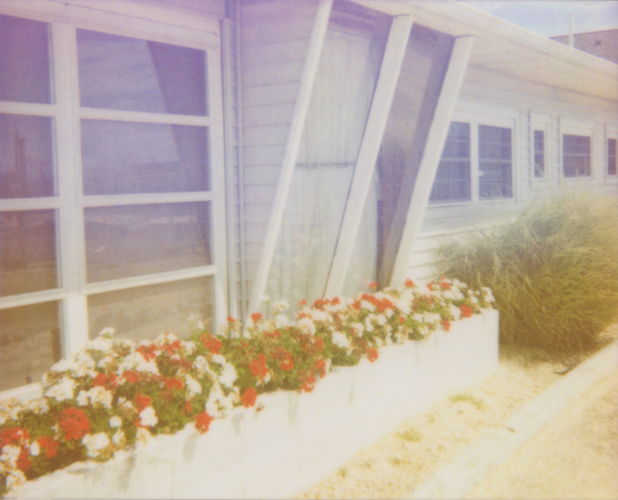 Flower Box - Jena Ardell