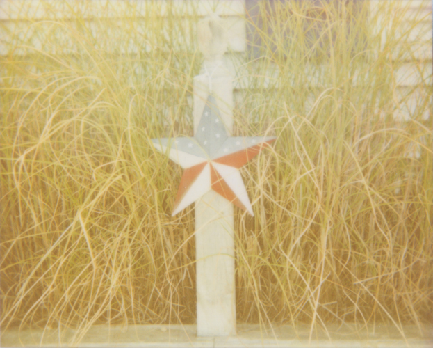 Patriotic - Jena Ardell