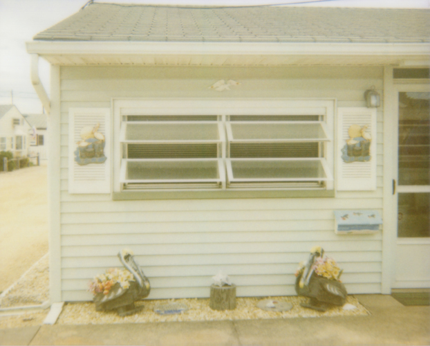 Pelicans - Jena Ardell