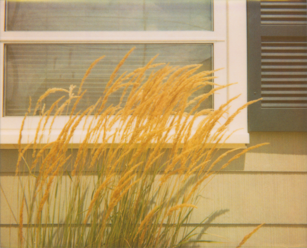 Summer Breeze - Jena Ardell