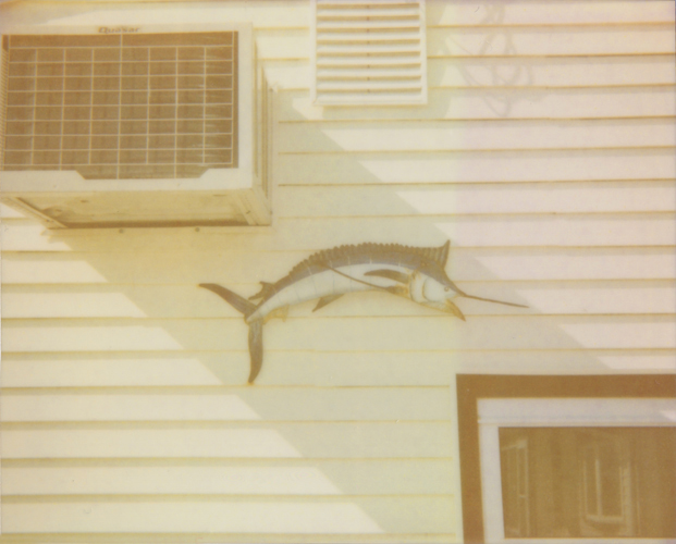 Swordfish - Jena Ardell