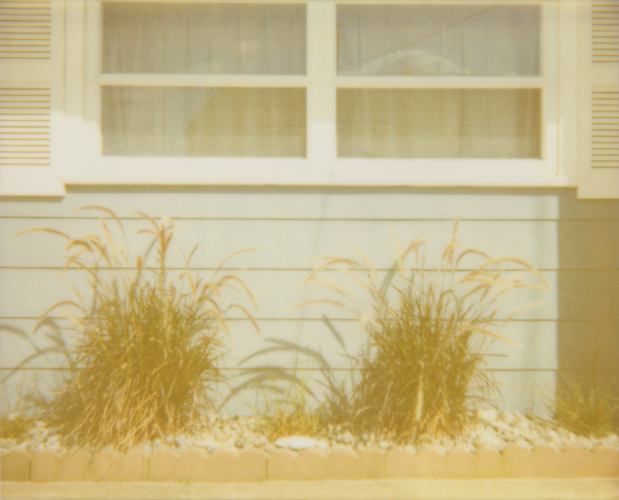 Two Sea Grasses - Jena Ardell