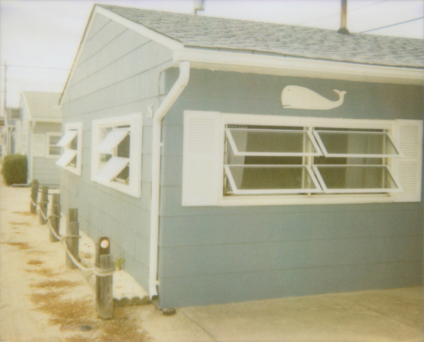 Whale House - Jena Ardell
