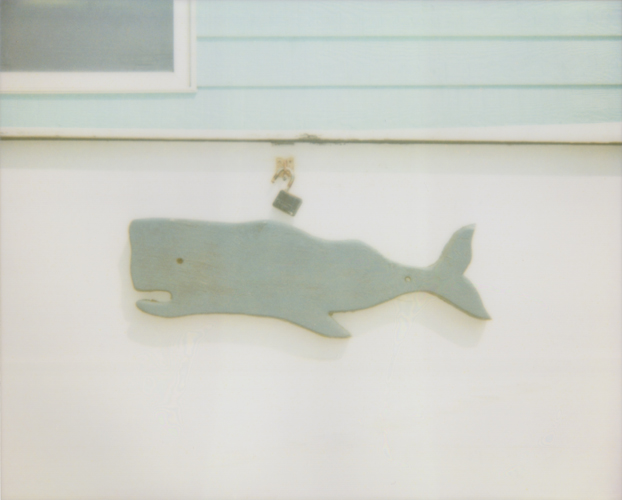 Whale Lock  - Jena Ardell