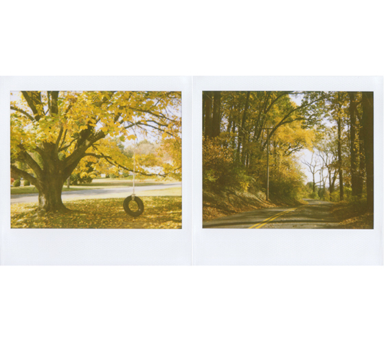 Autumn Drive - Jena Ardell