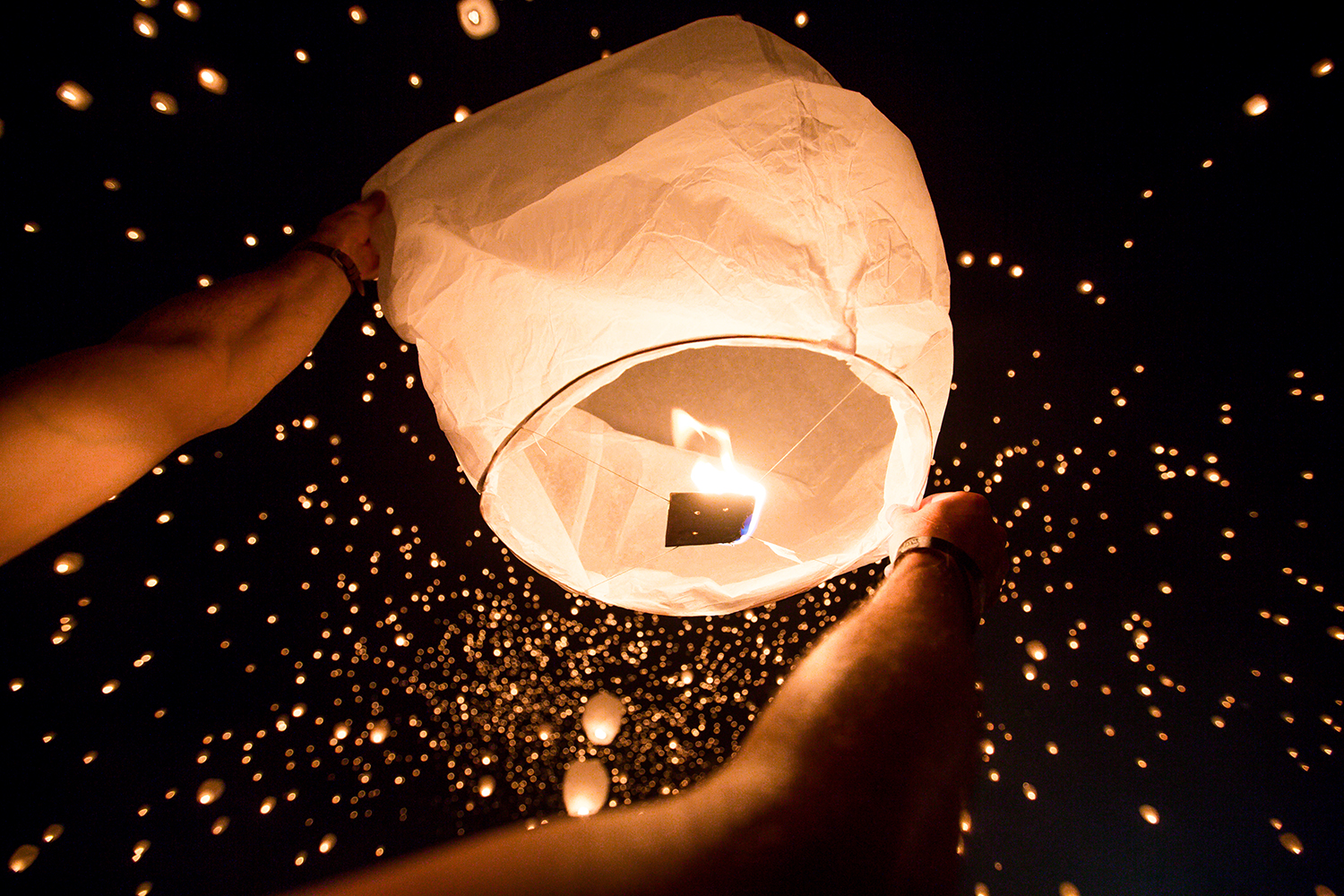 Lantern Fest by Jena Ardell
