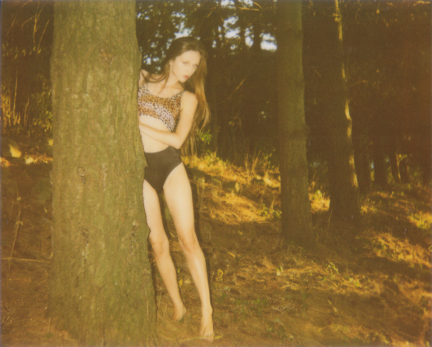 Forest - Jena Ardell